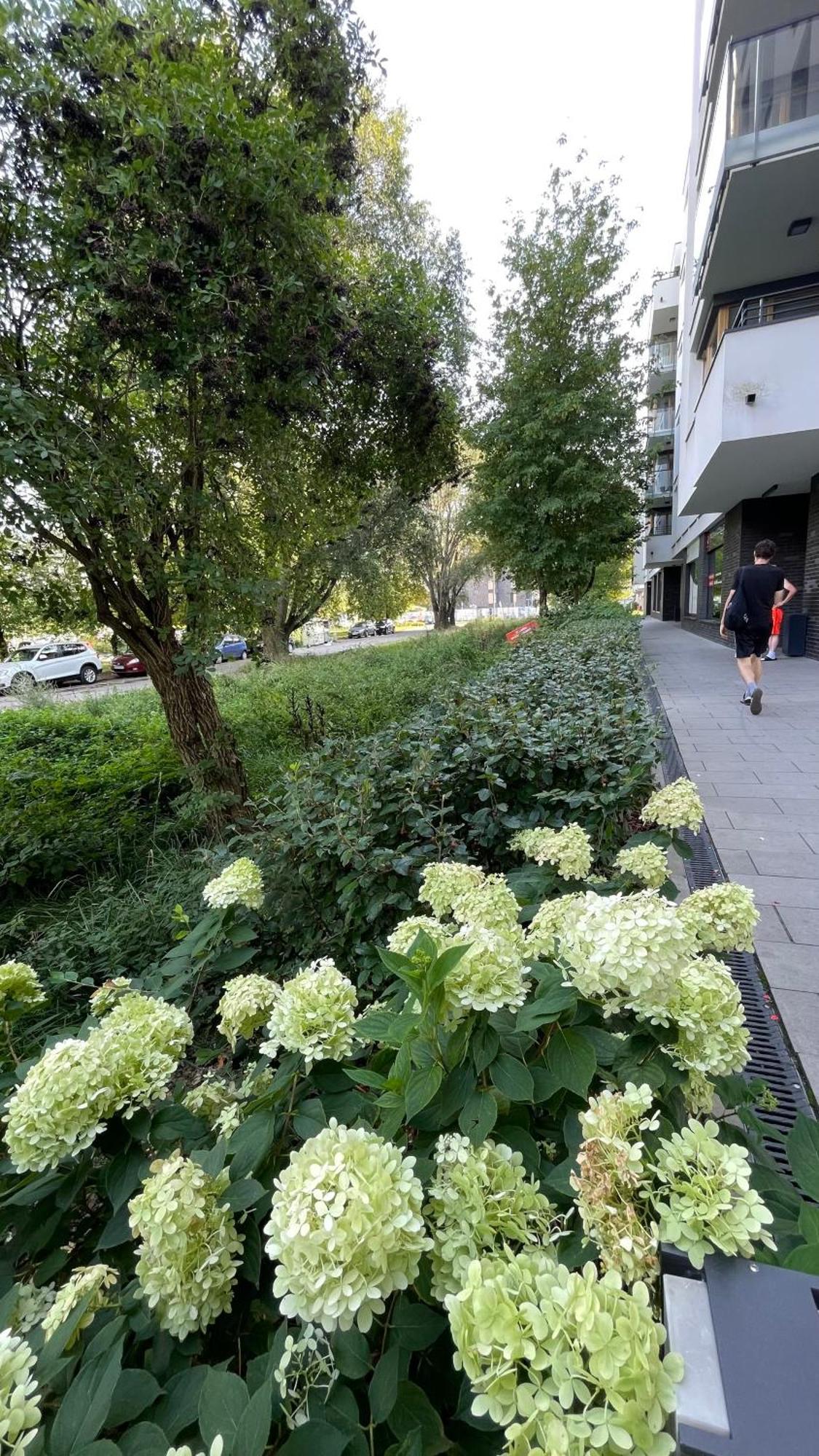Apartamenty Warszawa Centrum Wlodarzewska 30 Buitenkant foto